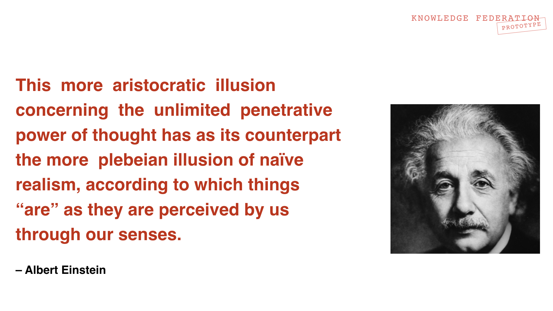 Einstein-Illusion2.jpeg
